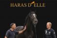 <p>Nouveau site internet pour le Haras d'Elle.</p>