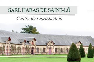 <p>SARL Haras de Saint-L&ocirc; - Centre de reproduction.</p>